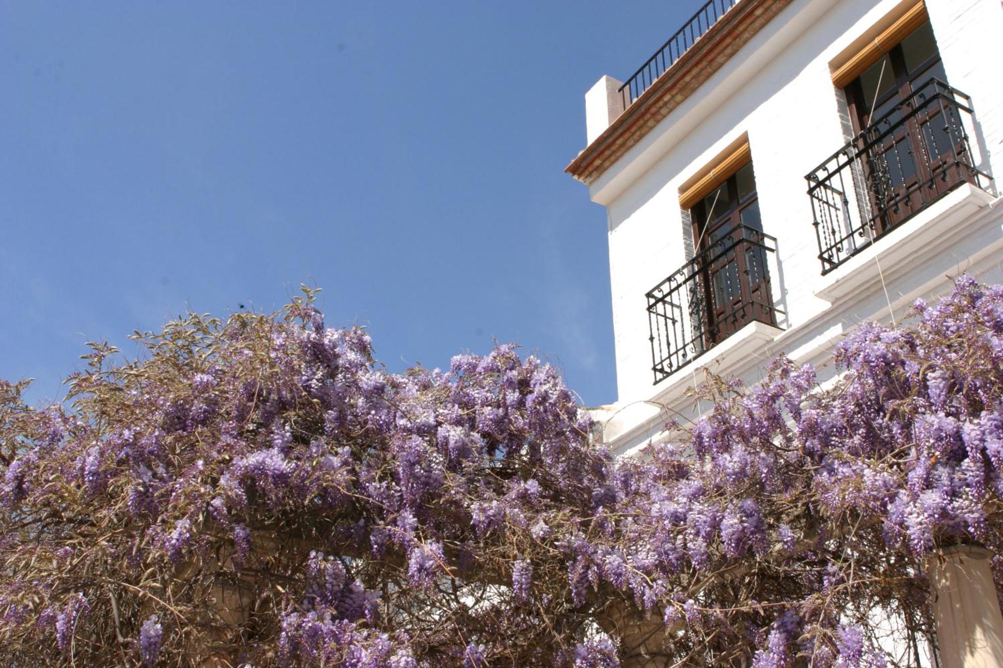 Hotel Carmen de la Alcubilla del Caracol Granada Exterior foto